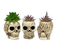 Genérico Lot de 3 pots de fleurs en résine avec tête de mort | Pot créatif, conteneur de bonbons, pot , bol pour pour décoration gothique, décoration de table pour la maison