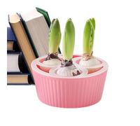 Generico Pot de culture hydroponique à 3 trous de 15,5 x 7 cm, jardinière pour bulbes de jonquilles, pots de jardin avec design et support stable pour les racines