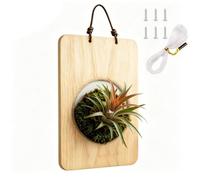 Generico Support pour orchidées, pot vertical en bois, panier à , pour chambre, salon, intérieur et extérieur, maison, jardin, cour et balcon