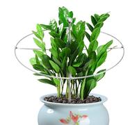 Genérico Tuteur pour tiges de , support métallique invisible - Poteau métallique de maintien intérieur pour , pivoine rose, monstera légumes, tige surélevée, patio, véranda