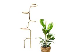 Genérico Tuteurs Support pour piquets d'intérieur pour Monstera | Support de tiges roses pour amaryllis, orchidées, roses, pivoines, jardin, maison et appartements