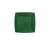 Générique - 10 ASSIETTES CARTON BIO CARRÉES 18CM VERT FONÇÉ