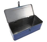 Générique boîte à Outils pour Le Rangement Organisateur d'outils en Fer Bleu Grande capacité pour Voiture Transport Facile et Protection Solide