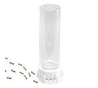 Générique Boîte d'alimentation en Eau pour Fourmis en ABS 10x3x3cm, Accessoire De Nid De Fourmis Étanche Et Antidérapant pour Fermes Ďe F́ourmis, Bol D'hydratation avec Emballage Đe Sac Séparé (30g)