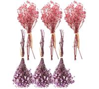 Générique Bouquet Facile à Assortir , comme Accessoire Photo ou Décoration de 6 Fleurs Séchées Naturelles Gypsophile pour Salle à Manger