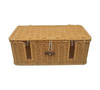 Générique Cable Organizer Box - 12.99 inches Cable Storage | Rattan Metal Management - Durable Imitation Rattan with Built in Wire Large Capacity Practical for Home Office Organization