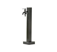 Générique Colonne d'eau extérieure en Acier Inoxydable avec Robinet à Double Sortie, borne antigel autoportante pour Jardin et Cour