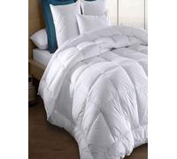 Générique Couette Blanche 140x200 cm pour 1 Personne, 450 g/m², enveloppe 100% Polyester Double Face, Fabrication française