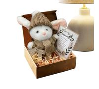Générique De Lapin en Peluche De Pâques - Mini De Lapin Mignon dans Une Boîte | Po-upée Compagnon À Câliner Portable, Cadeau De Pâques avec Carte De Vœux pour en-fants, Adultes, Amis (A)