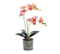 Générique Fleurs d'orchidées Artificielles Violette à Deux Branches, 12 Pétales Fleur Décorative Phalaenopsis Blanche Fausse Orchidée Orange Réaliste en Pot Décoration Papillon Blanc (Rose rayé)