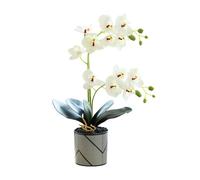 Générique Fleurs d'orchidées Artificielles Violette à Deux Branches, 12 Pétales Fleur Décorative Phalaenopsis Blanche Fausse Orchidée Orange Réaliste en Pot Décoration Papillon Blanc (Blanc)