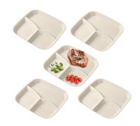 Générique Geteilte Teller Erwachsene | 5er Set Servierplatten 25x23cm
