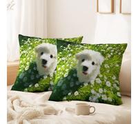 Générique Housse de Coussin Ultra-Réaliste, Chaleureux 45 x 45 CM Prairie, Chiots, Fleurs Doux Décoratif Taie d'oreiller pour Décorations Festives, Chambre, Chaise