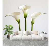 Générique Imperméable,Inodore intérieure Papier Peint 250x175 cm Lys Calla, Une Plante Simple Amovible Fresque Murale décorer Papier Peint Photo Gris Pour Meuble Salon Salle Bain Chambre Armoire