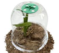 Générique imperméable pour, Transparente Contre Le Gel, Cloche de Jardin de 30,5 cm avec matériau Durable, Outil de des, Couverture végétale avec Design Clair, Pro