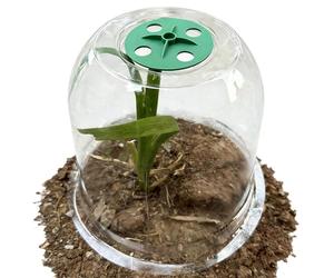 Générique imperméable pour, Transparente Contre Le Gel, Cloche de Jardin de 30,5 cm avec matériau Durable, Outil de des, Couverture végétale avec Design Clair, Pro