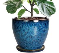 Générique LAUMZX Pot de jardinière en céramique émaillée avec Soucoupe, Pot Fleur glaçure réactive Blue Ocean for Plantes d’intérieur, Grand Figue à Feuilles Violon Serpent(25.5cm)
