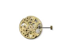 Générique Montre Squelette en Or 27mm, Mouvement à Calendrier Unique, réglage Automatique du mécanique, Pendule, 3 Aiguilles, Accessoires