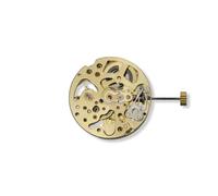 Générique Montre Squelette en Or 27mm, Mouvement à Calendrier Unique, réglage Automatique du mécanique, Pendule, 3 Aiguilles, Accessoires