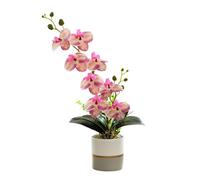 Générique Orchidée Réaliste en Jaune Artificiel dans Le Pot Phalaenopsis à Huit Têtes en Silicone avec Une Fleur de Papillon de Simulation Blanche à Huit Têtes (Rose)