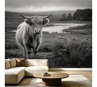 Générique Papier Peint Intissé Prairie Animaux 250 x 175 cm Papier Peint Panoramique poster Mural Photo pour Salon, Chambre, Gris -Poster Tableaux Photo Muraux Vache Highland Prairie