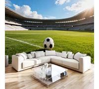 Générique Papier Peint Panoramique 3D Ballon De Football 350 x 256 cm (LxH) | Poster Géant Mural intissé xxl Sportif Stade De Football Moderne Fresque Peinture Murale Décorative pour Salon Chambre L-699