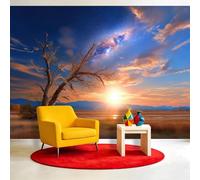 Générique Papier Peint Panoramique Voie Lactée Ciel Étoilé, 350 x 256 cm Arbre Mort Champ Soleil, Papier peint photo non tissé, pour Salon Chambre d'enfant Chambre Décoration Poster Papier Peint
