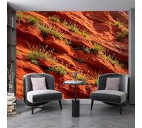 Générique Papier Peint Paysage Naturel, Rochers Et Herbes Orange, Géographie Physique, Fresque Murale Intissé Orange, Affiche Photo, Décoration Intérieure Pour Salon Et Chambre, 368 Cm (L) X 2