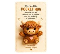 Générique Pocket Cards - Inspirational Encouragement Pocket Greeting Card