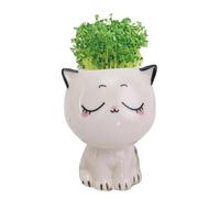 Générique Pot De Jardinière Succulente pour Chat - Pot en Forme De Chat | Pots Artisanaux Décoratifs en Porcelaine, Fleurs, Animaux, Chats, Cactus, Décoration De Jardin De Maison sans Plateau De Base