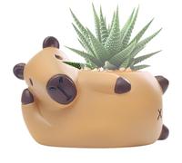Générique Pots Mignons pour - Statue Sculpture en Résine Originale - Cache-Pot Animal avec Trous de Drainage - pour Table, Fenêtre, Salon, Chambre, Balcon, Intérieur, Extérieur