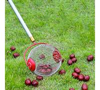 Générique Rouleau Ramasse-Noix avec Manche Télescopique, Outil Ramasse Glands Chêne pour Ramasser Pomme au Sol,pour Noyer, Caryer, Châtaignes, Golf (S)