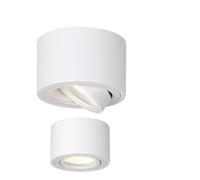 Générique Spot pour Plafond Moderne, Lumière de Piste LED Spot LED Downlight 3 couleurs changeantes, luminaire décoratif d'intérieur, idéal for une chambre à coucher(2PCS White)