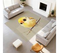 Générique Tapis Intérieur 120 x 180 cm Dessin Animé Moderne Abstrait Tapis Oiseau Beige Lavable, Tapis de Chambre Moderne à Poil Ras, Antidérapant & Résistant, Tapiss Sol Décor À La Maison