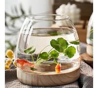 Générique Vase, Bol de Vase en Verre avec Support en Bois Transparent, Fish Bowl Aesthetic Home Decor, Fish Tank écologique pour Le dîner de la Salle de Bain du Salon