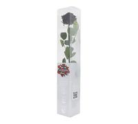 Générique VERDISSIMO Rose éternelle stabilisée Premium Tige 55cm Diamètre 6,5 à 8,5cm (Noir)