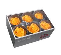 Générique VERDISSIMO Rose Stabilisée Bouton X6 / diametre de 5cm (Jaune)
