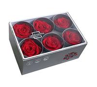 Générique VERDISSIMO Rose Stabilisée Bouton X6 / diametre de 5cm (Rouge)
