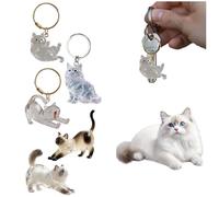 Generisch Porte-clés 2026 avec bouteille de rangement pour poils de chat, boîte de rangement transparente, 6 pièces de collecteur de poils de chat, pendentif créatif pour les amoureux des animaux de