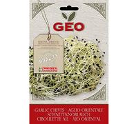 Geo Graine à Germer Ciboulette Ail Brun 12,7 x 0,7 x 20 cm