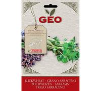 Geo Graine à Germer Sarrasin Brun 12,7 x 0,7 x 20 cm
