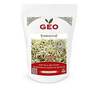 GEO Graines à Germer - Ciboulette Ail - Graines à Cultiver Bio pour Salades et Plats avec Germination Rapide pour Culture en Germoir - 150g
