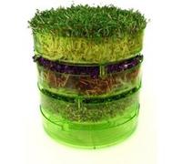 Geo Plus Germoir sans BPA G