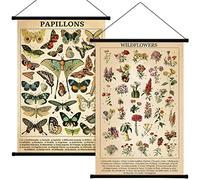 Geosar Lot de 2 affiches vintage en forme de champignon, fleur, papillon, arbre, champignon, rustique, à suspendre au mur, tableau de référence pour chambre à coucher, salon, 40 x 60 cm (papillon)