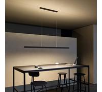 Gera-Leuchten Suspension LED GL 6, Designer Thomas Ritt, 120x4x1 cm