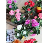 Géranium Artificielle Rouge En Pot H34