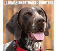 German Shorthaired Pointers 2027 Wall