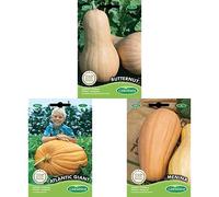 Germisem Atlantic Giant Graines de Citrouille+ Potiron BUTTERNUT+Potiron MENINA