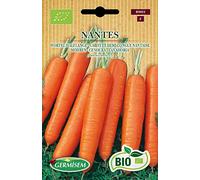 Germisem Bio Graines Carotte demi-longue Nantaise NANTES