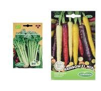 Germisem Bio Graines Céleri vert TALL UTAH & graines Carotte RAINBOW F1 MIX